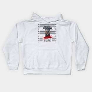 Doberman Mugshot Steeling my Heart Under Arrest Kids Hoodie